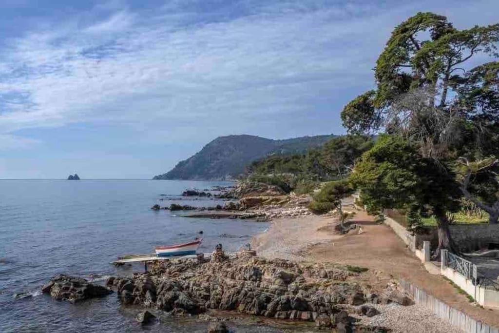 Le Criotto Apartman La Seyne-sur-Mer Kültér fotó